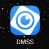 logo dmss